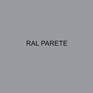 RAL PARETE 7004
